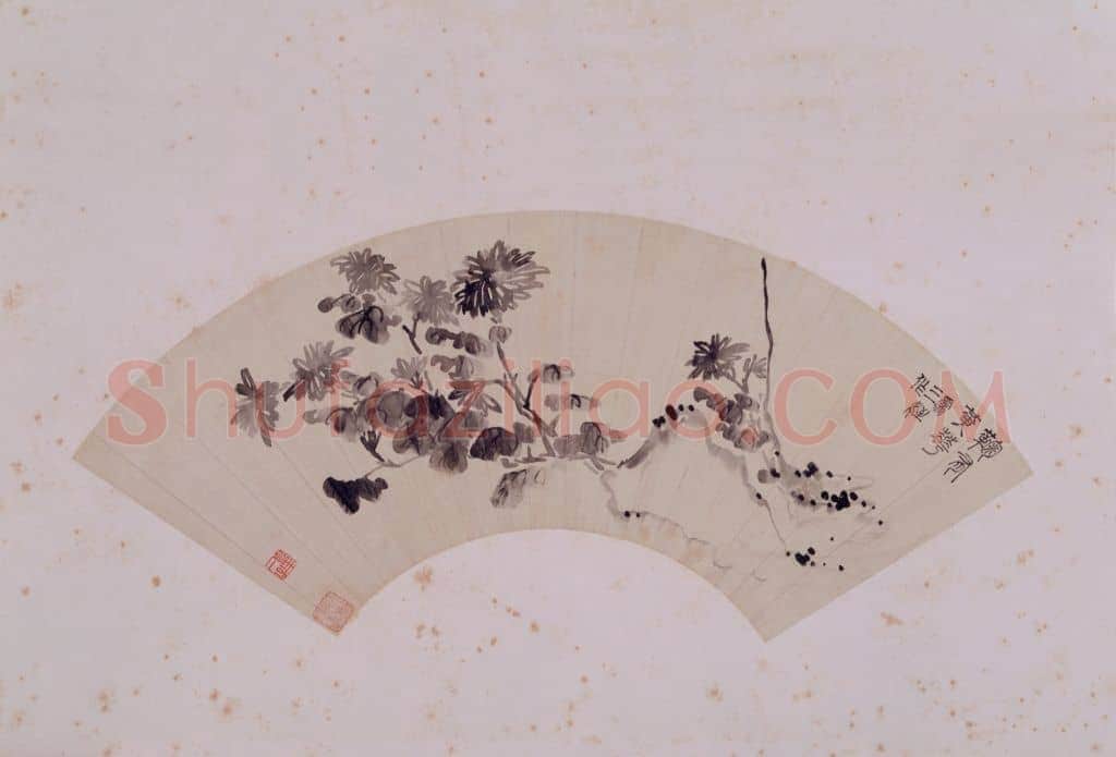 永瑆菊石图扇页 | 故宫绘画藏品