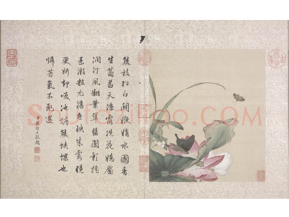 郎世宁花鸟图册 | 故宫绘画藏品
