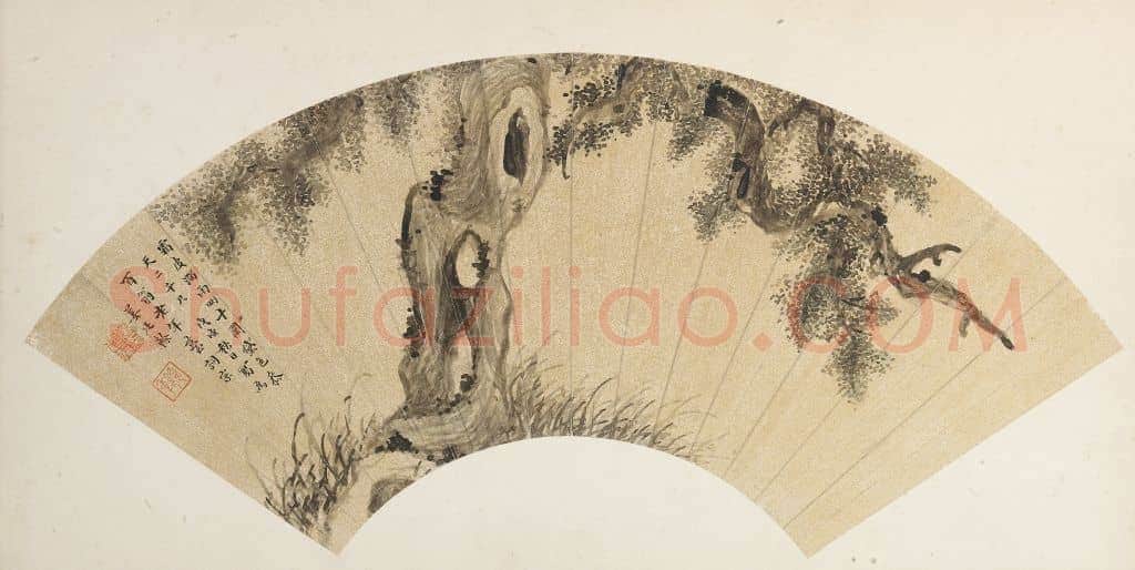 姜廷翰古柏图扇页 | 故宫绘画藏品