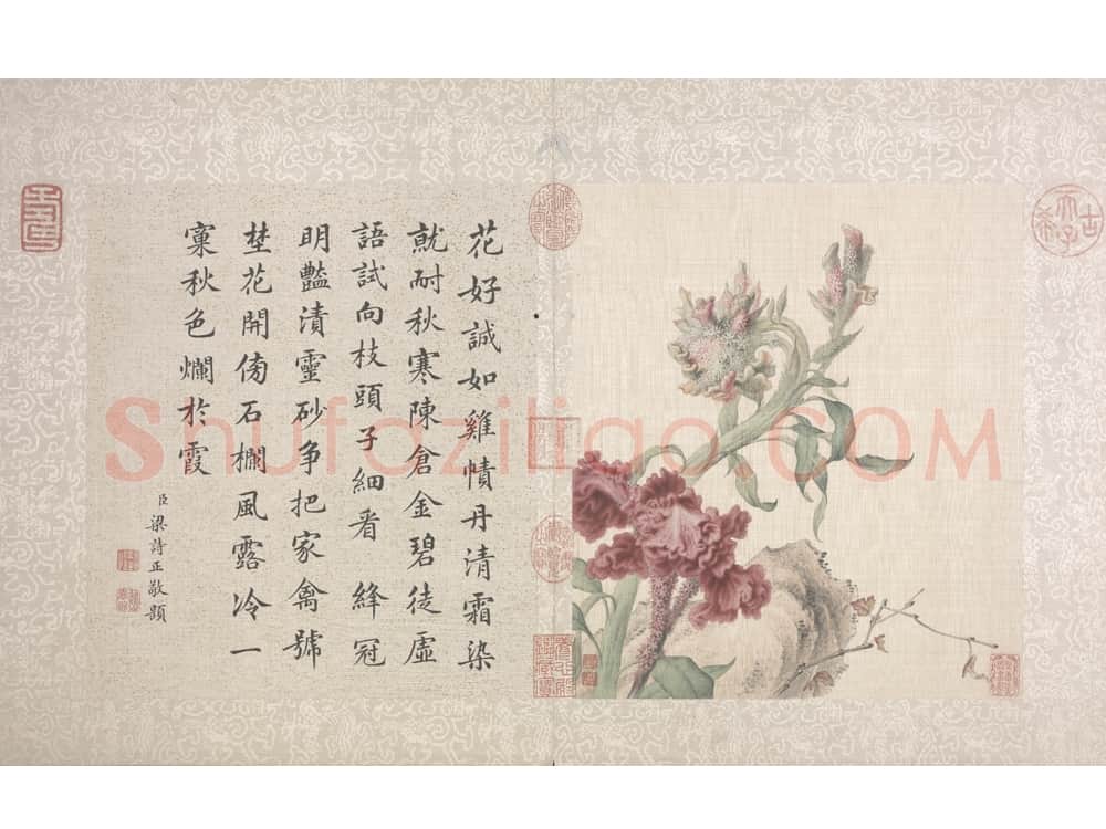 郎世宁花鸟图册 | 故宫绘画藏品
