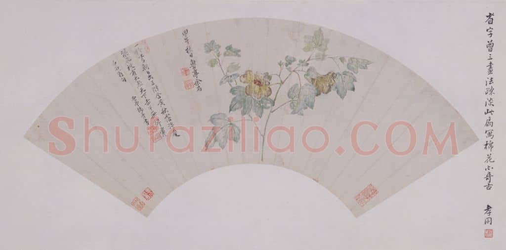 余省棉花图扇页 | 故宫绘画藏品