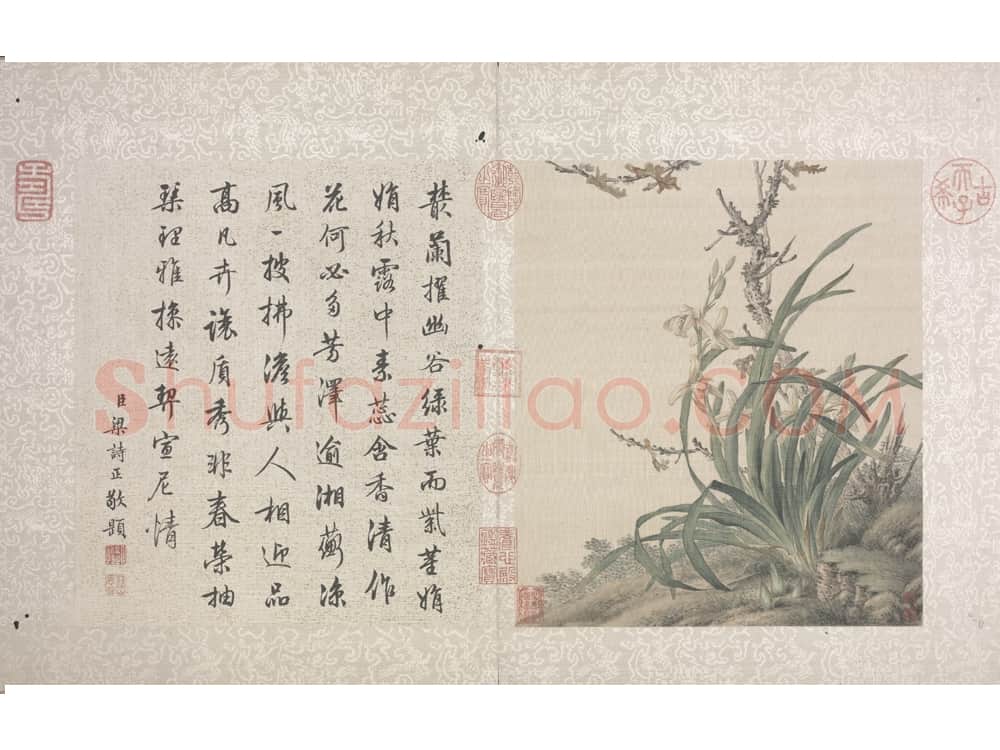 郎世宁花鸟图册 | 故宫绘画藏品