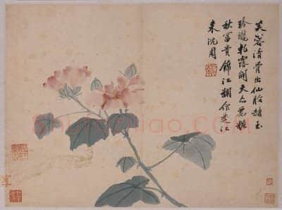 沈周卧游图册 | 故宫绘画藏品