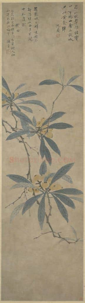沈周枇杷图轴 | 故宫绘画藏品