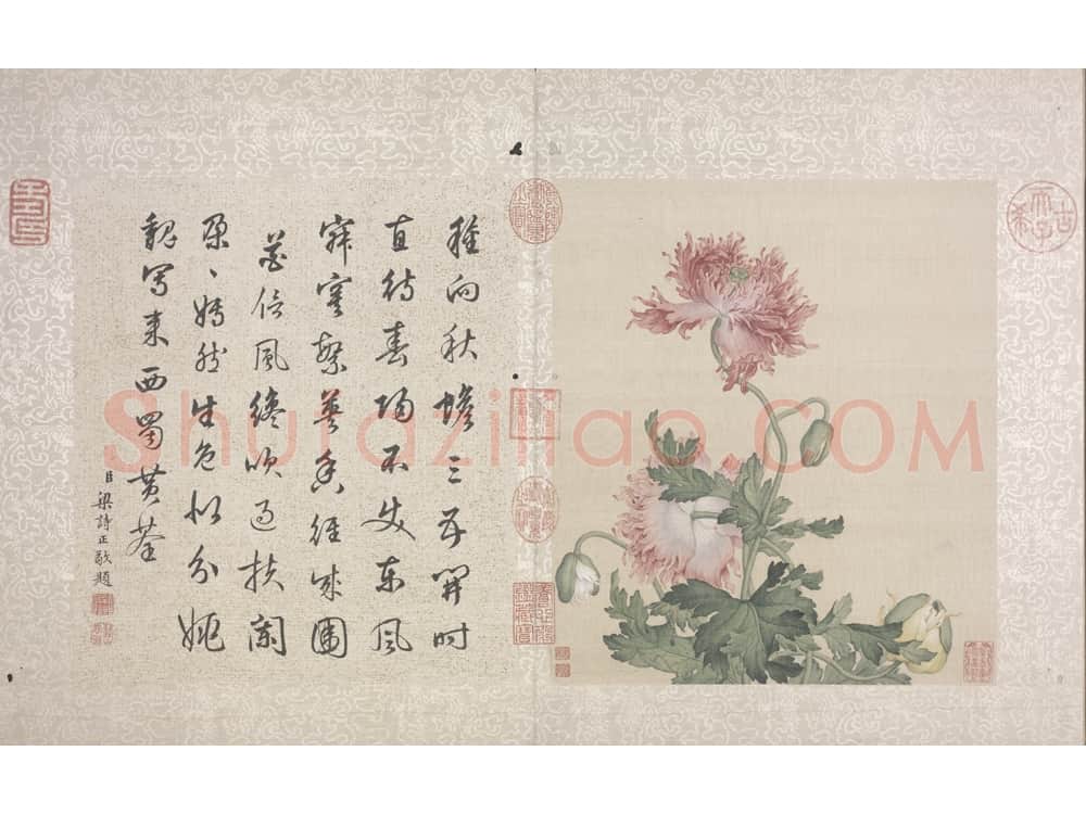 郎世宁花鸟图册 | 故宫绘画藏品