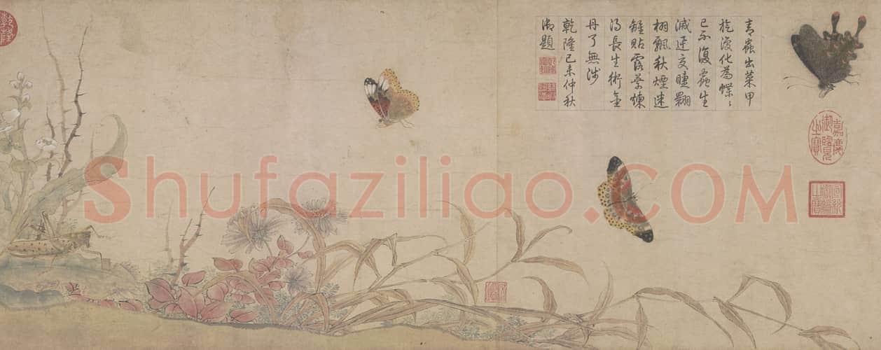 赵昌写生蛱蝶图卷 | 故宫绘画藏品