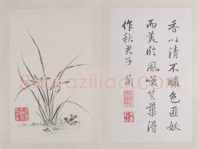 弘历《秋英六种》册 | 故宫绘画藏品