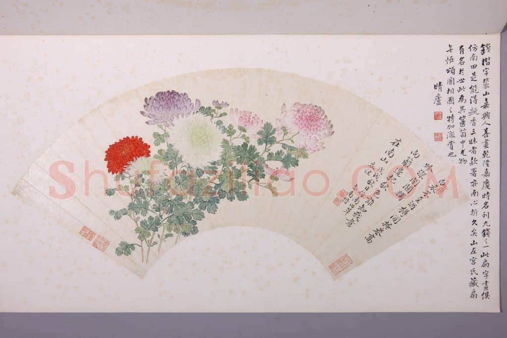 钱楷菊花图扇页 | 故宫绘画藏品