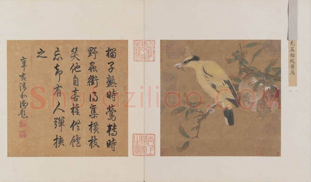 榴枝黄鸟图页 | 故宫绘画藏品