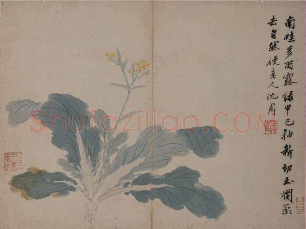 沈周卧游图册 | 故宫绘画藏品