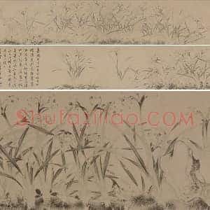 国画水仙花 明代 周天球《水仙图》卷