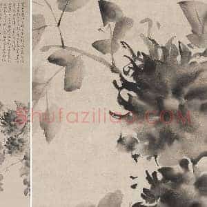 徐渭《水墨牡丹图》 立轴