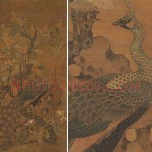 崔白《枇杷孔雀图》轴