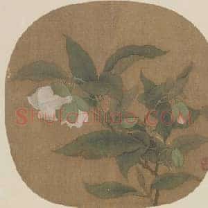 夜合花图页