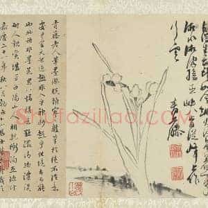 徐渭《水墨画水仙》页