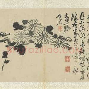 徐渭《水墨画菊》页