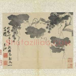 徐渭写意画《水墨画葡萄》页