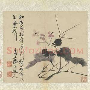 徐渭《浅设色画海棠》页