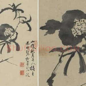 徐渭写意画《水墨画石榴》页