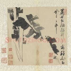 徐渭写意画《水墨画芭蕉》页