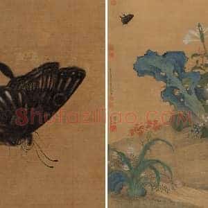 明代 文俶《秋花蛱蝶图》