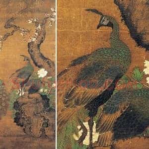 吕纪《杏花孔雀图》轴
