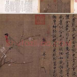 宋徽宗《五色鹦鹉图》又名《杏花鹦鹉图》全卷