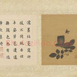 陈洪绶花卉《蔷薇》页