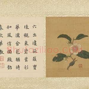 陈洪绶工笔花卉《山茶花》页