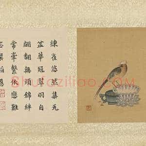 陈洪绶工笔画《练雀图》页