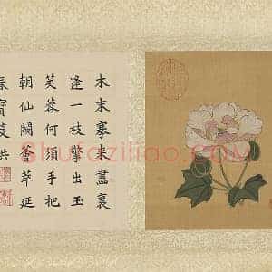陈洪绶工笔花卉《木芙蓉图》页