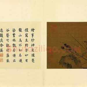 赵伯骕花鸟画《野芳山鸟》页