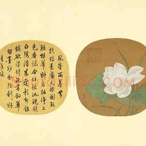 黄居寀《白莲图》团扇页