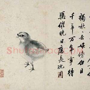 沈周水墨画鸡《雏鸡图》页