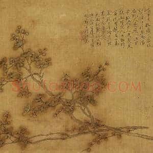 钱杜《梅花写生图》页
