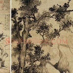 张舜咨水墨画《树石图》轴
