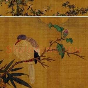 传黄筌花鸟画《翠竹仙禽图》卷