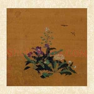 黄筌工笔花卉《荠菜蒲公英》页