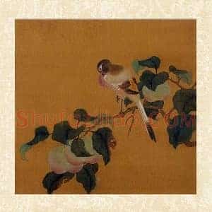 黄筌工笔画《蘋婆翎毛》页