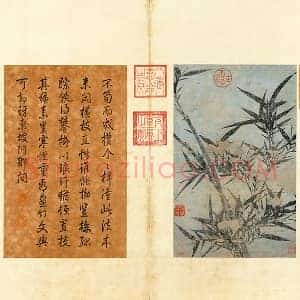 文同《琅玕挺秀图》页