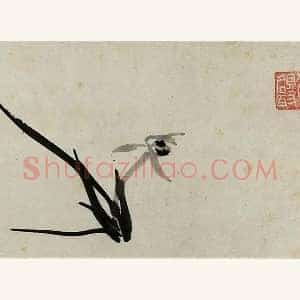 朱耷写意水墨画《兰花》页