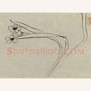 朱耷写意水墨画《水仙》页