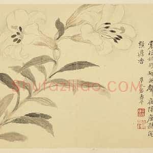 恽寿平摹古花卉《百合花》页