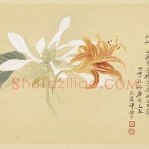 恽寿平花卉《玉簪萱花》页