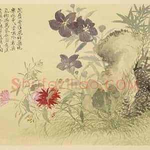 恽寿平花卉《秋花图》页