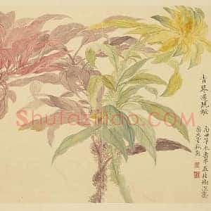 恽寿平没骨工笔花卉《北堂秋影》页