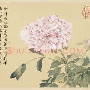 恽寿平没骨工笔花卉《牡丹花》页