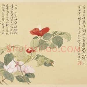 恽寿平花卉《山茶花》页