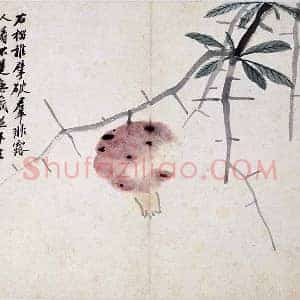 沈周《石榴图》页