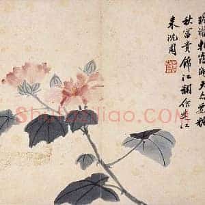 沈周花卉《芙蓉花》页